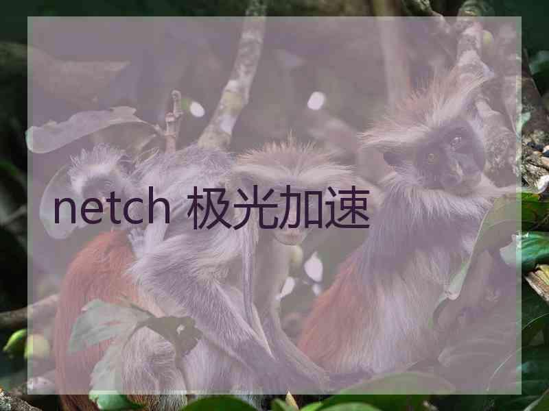 netch 极光加速