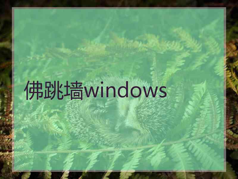 佛跳墙windows