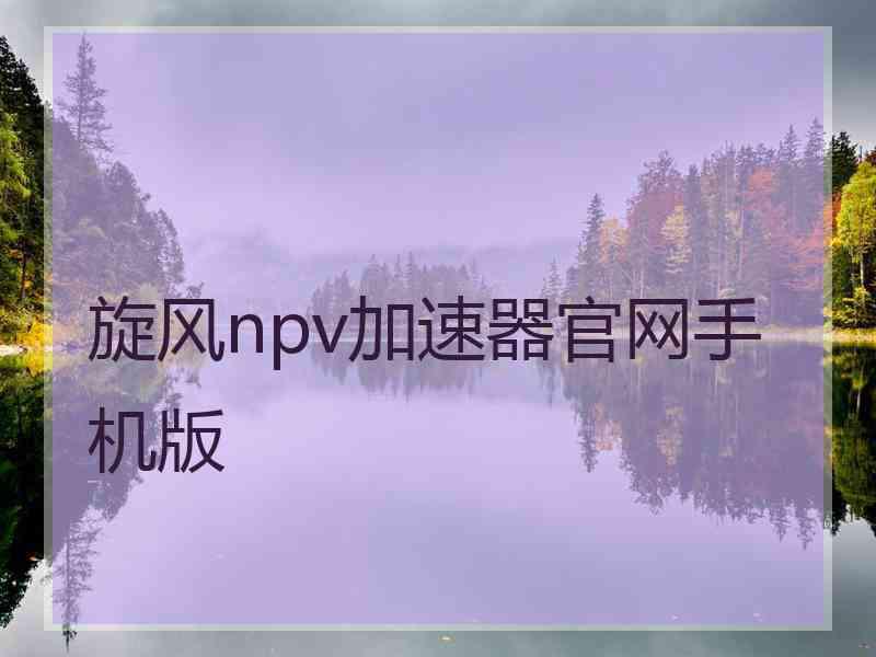 旋风npv加速器官网手机版