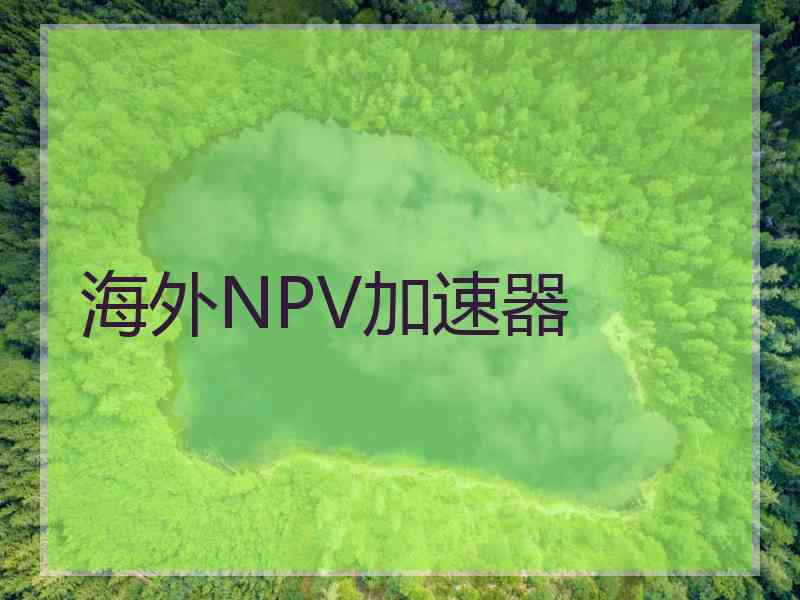 海外NPV加速器