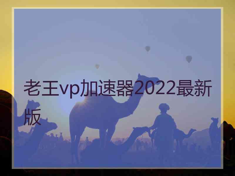 老王vp加速器2022最新版