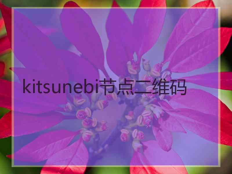 kitsunebi节点二维码