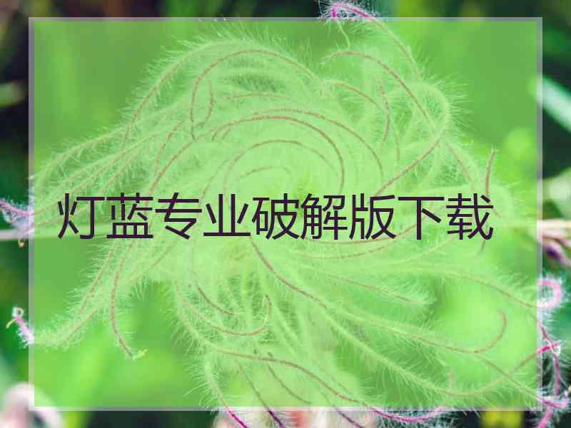 灯蓝专业破解版下载