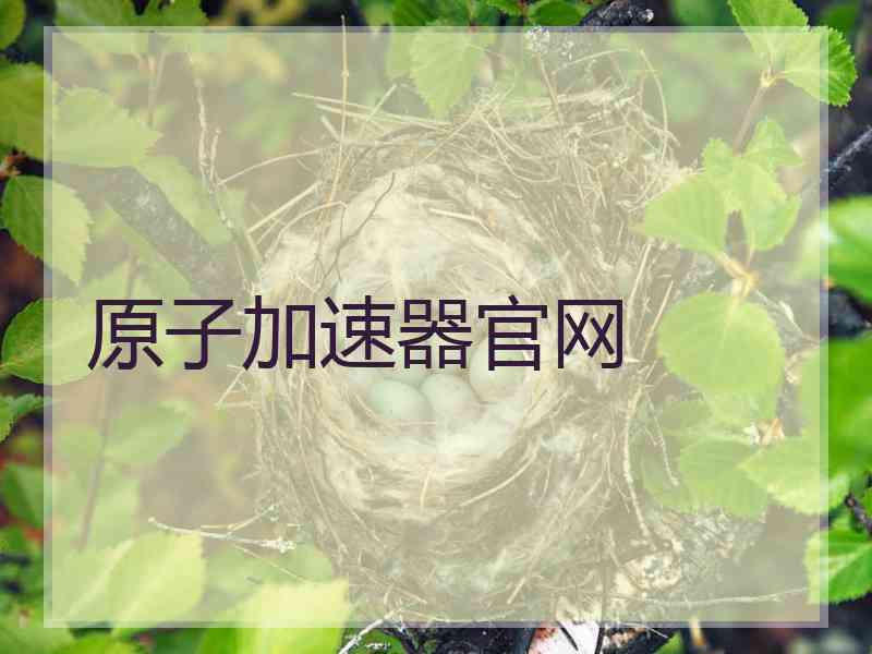 原子加速器官网