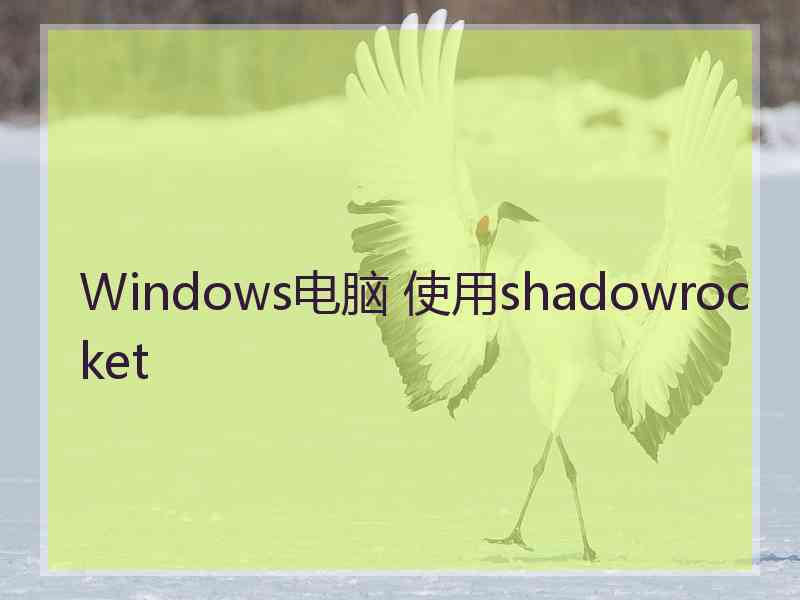 Windows电脑 使用shadowrocket