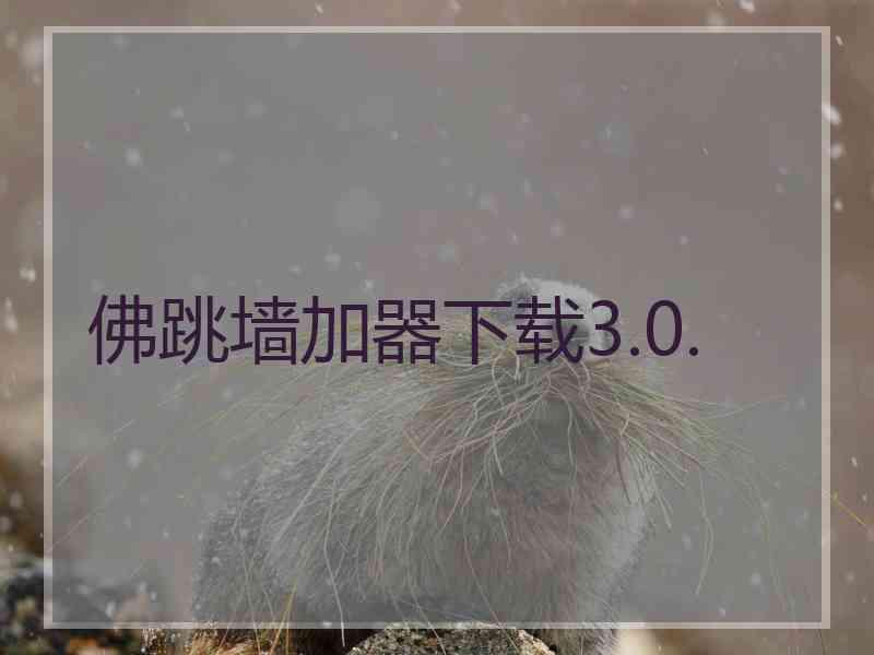 佛跳墙加器下载3.0.