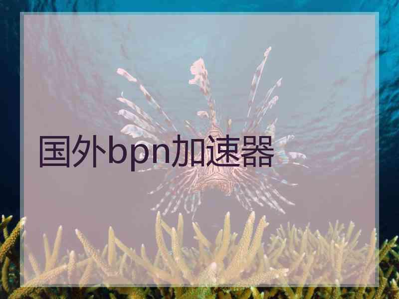 国外bpn加速器