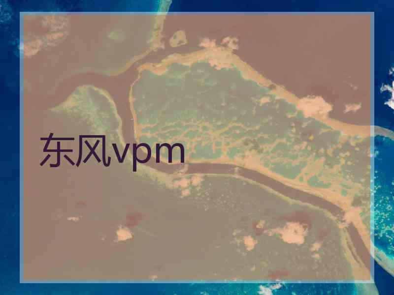 东风vpm