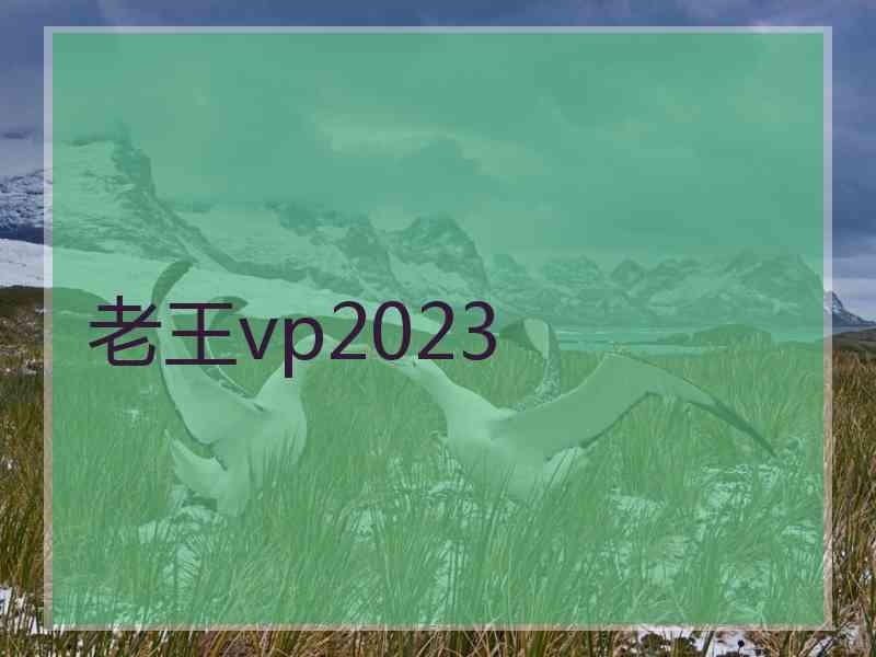 老王vp2023