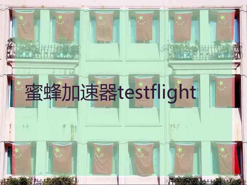 蜜蜂加速器testflight