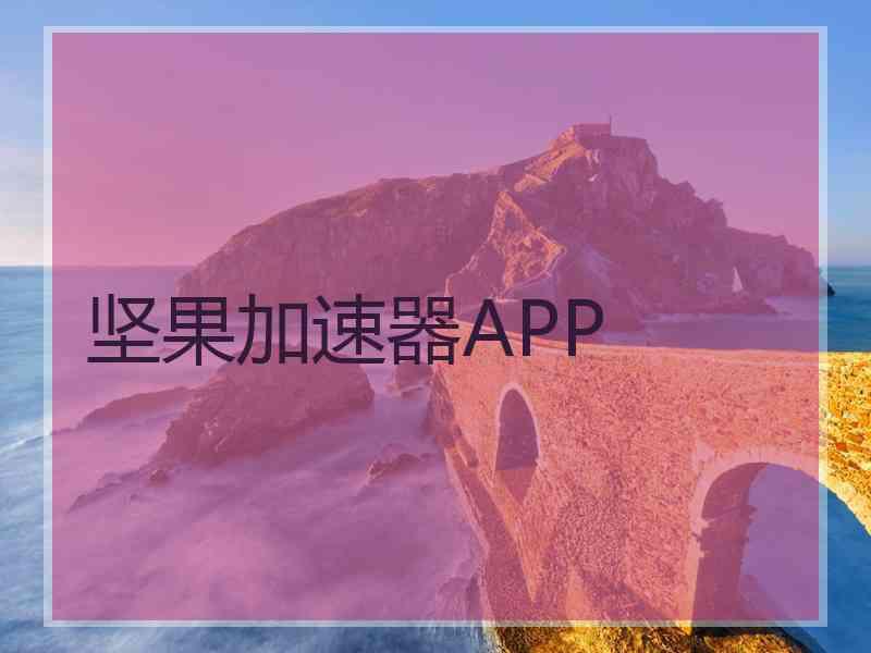 坚果加速器APP