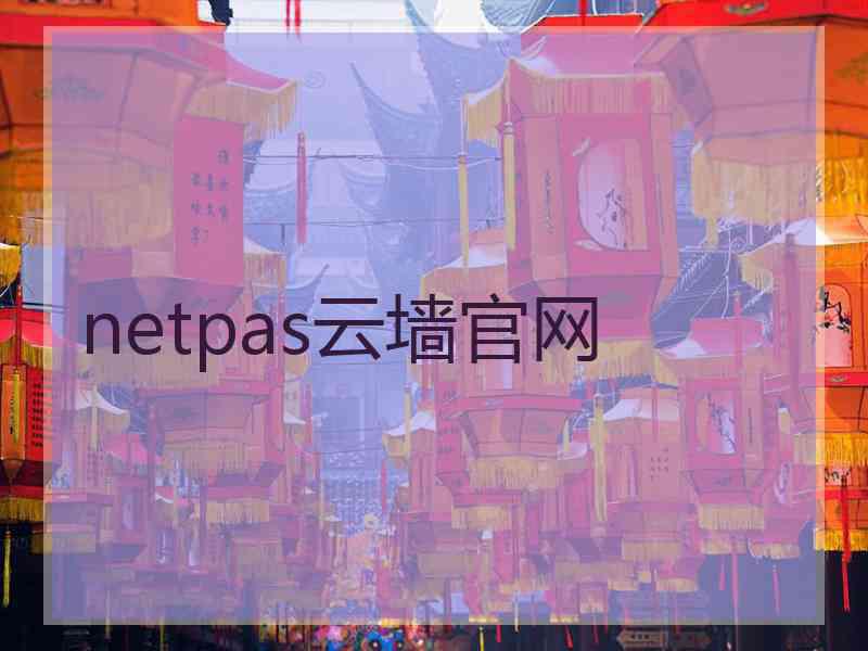 netpas云墙官网