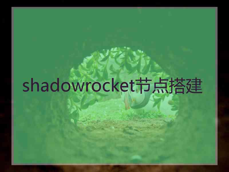 shadowrocket节点搭建