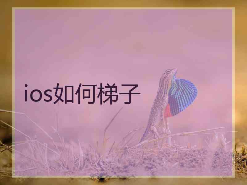 ios如何梯子