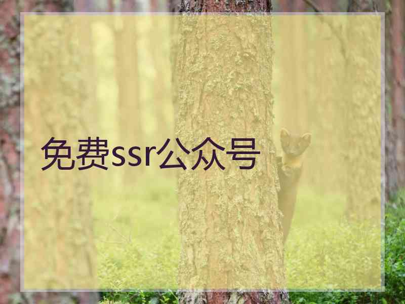 免费ssr公众号