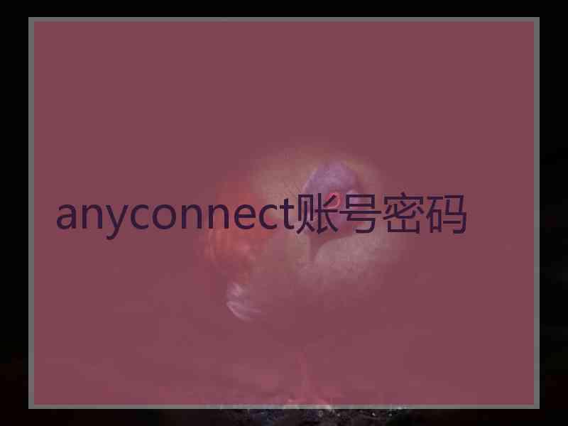 anyconnect账号密码