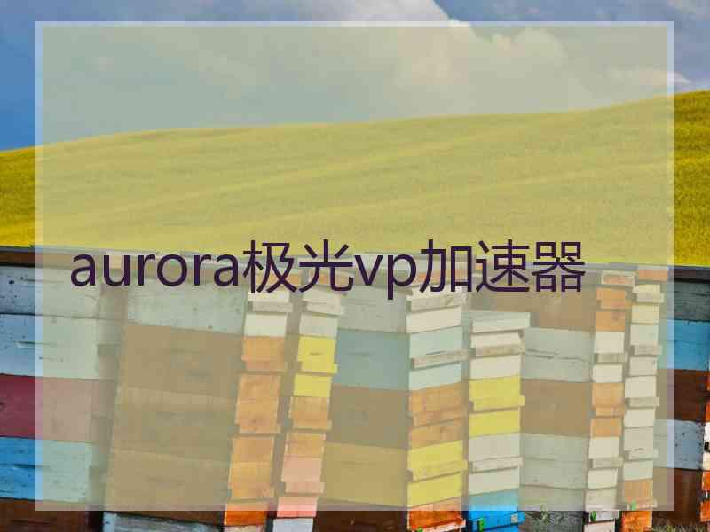 aurora极光vp加速器