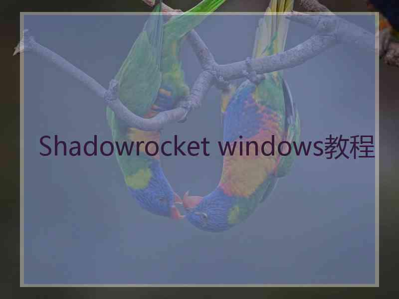 Shadowrocket windows教程