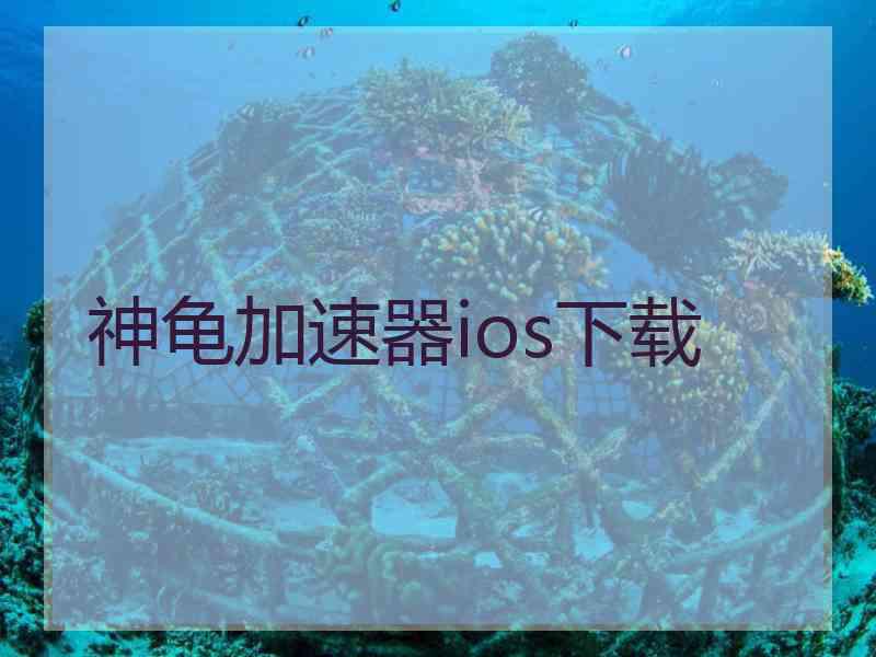 神龟加速器ios下载