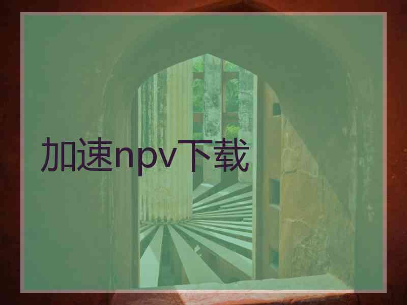 加速npv下载