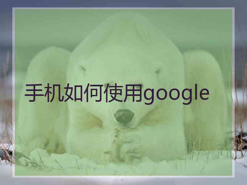 手机如何使用google