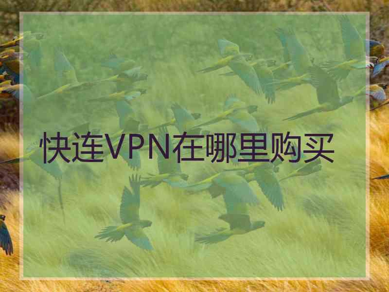 快连VPN在哪里购买