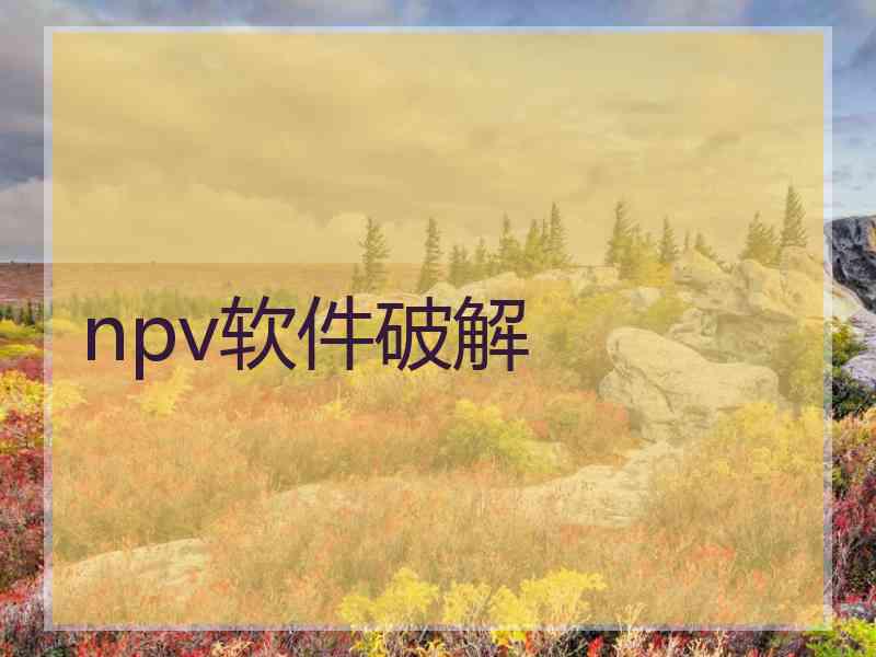 npv软件破解