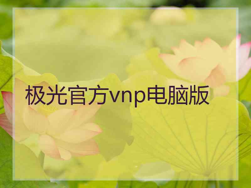 极光官方vnp电脑版