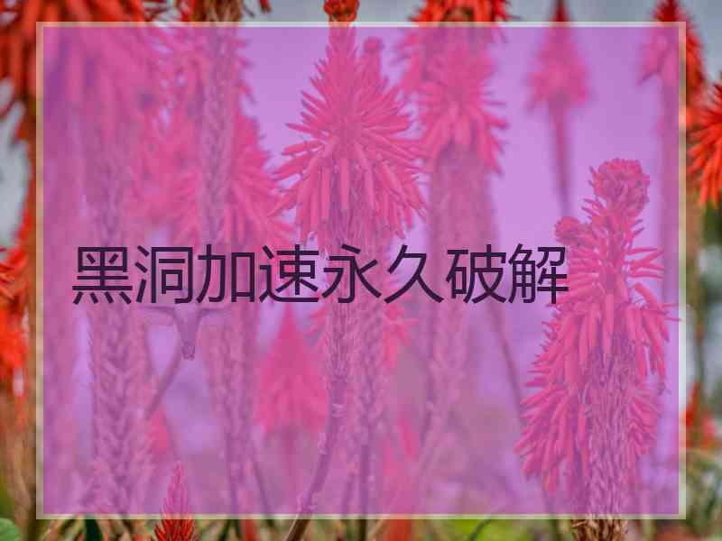 黑洞加速永久破解