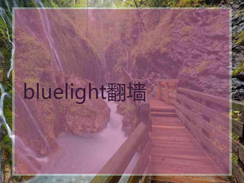 bluelight翻墙