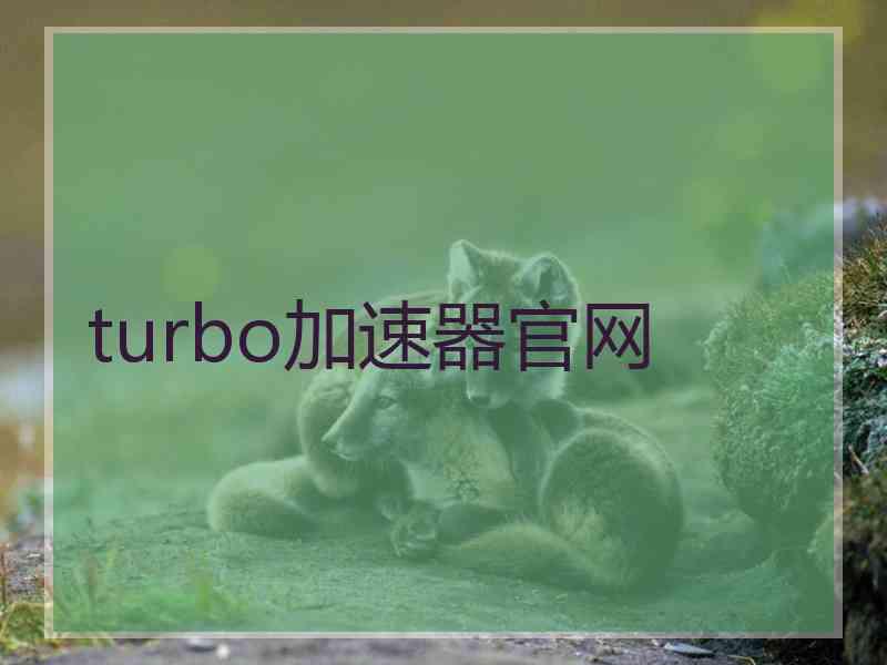 turbo加速器官网