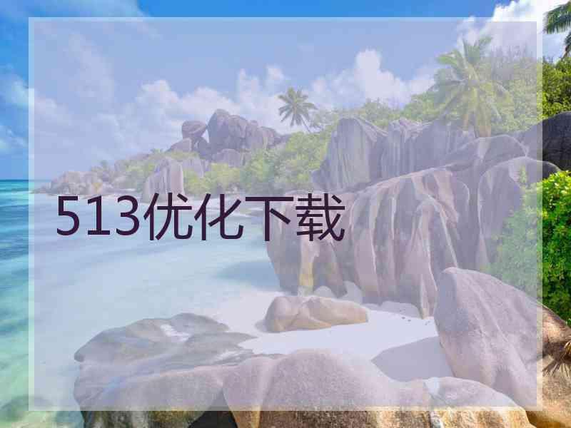 513优化下载