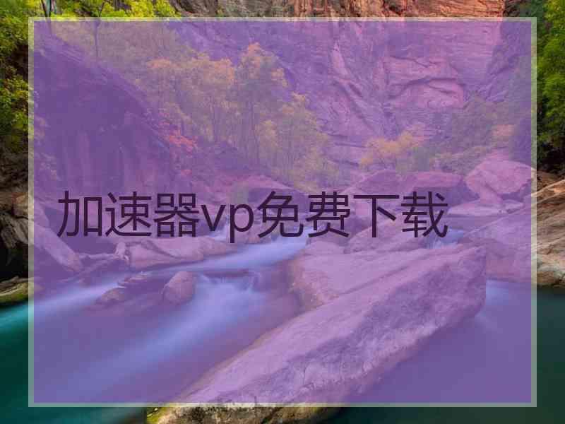 加速器vp免费下载