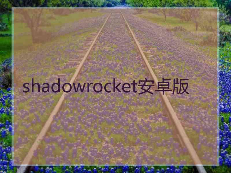 shadowrocket安卓版