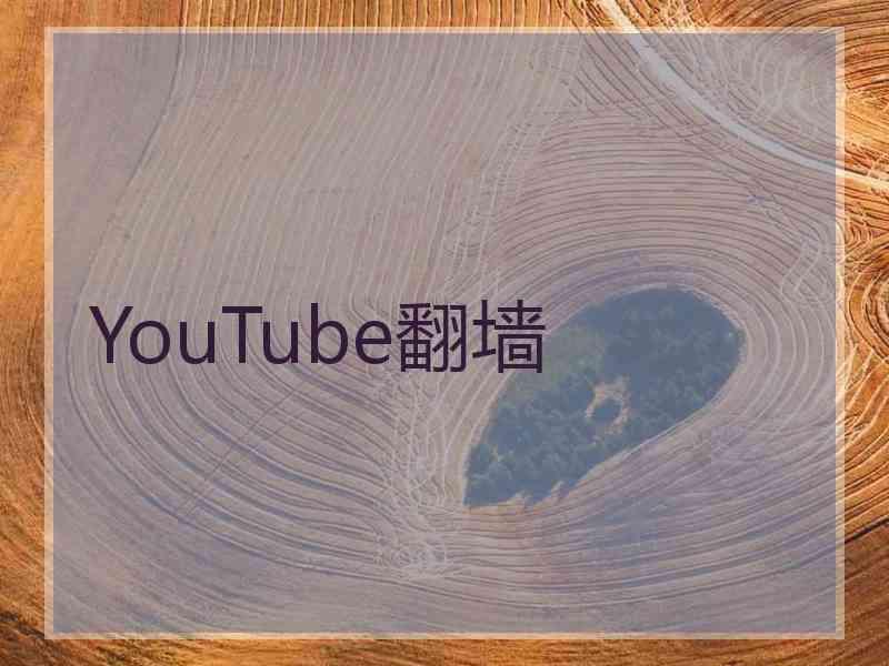 YouTube翻墙