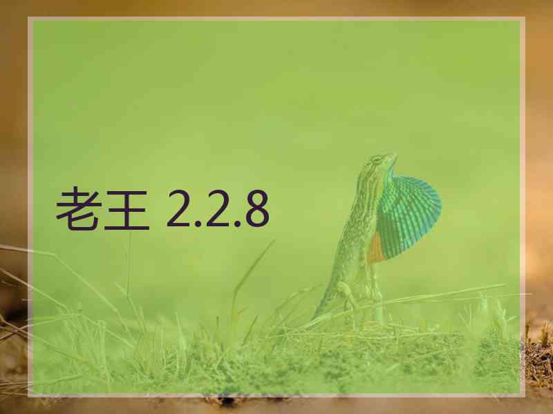 老王 2.2.8