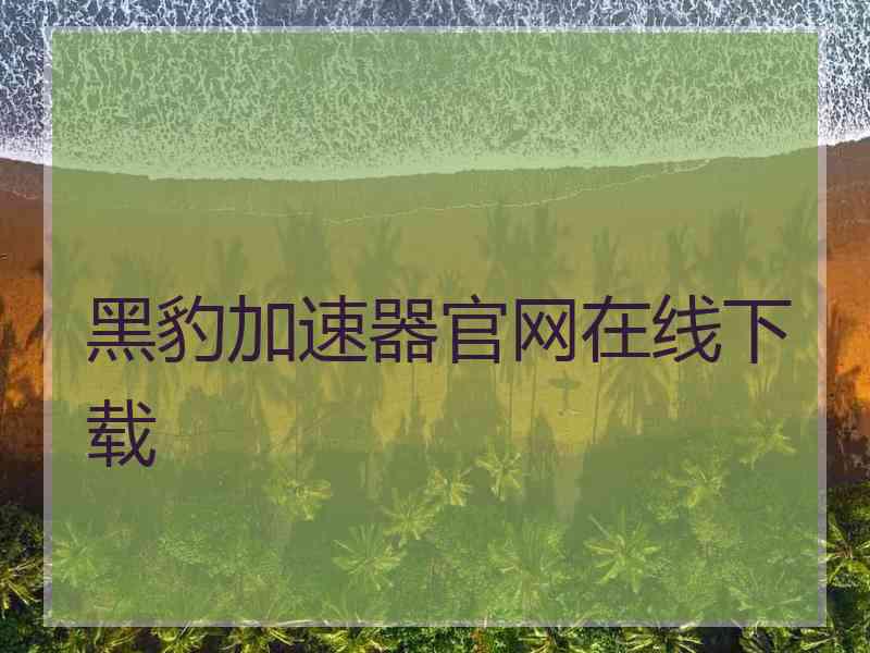 黑豹加速器官网在线下载