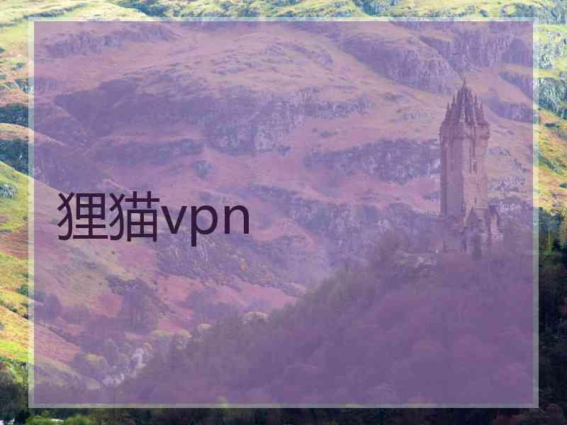 狸猫vpn