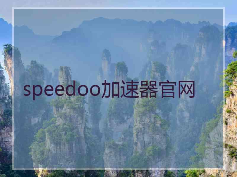 speedoo加速器官网