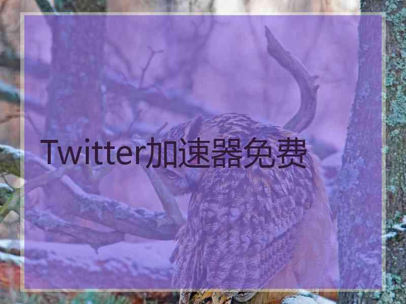 Twitter加速器免费