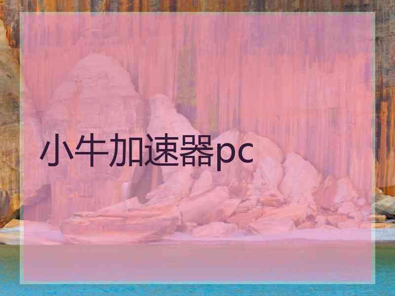 小牛加速器pc