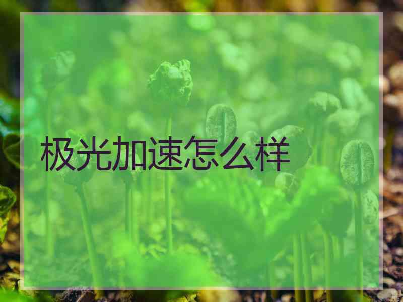 极光加速怎么样