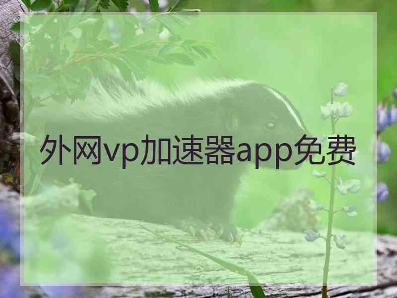 外网vp加速器app免费