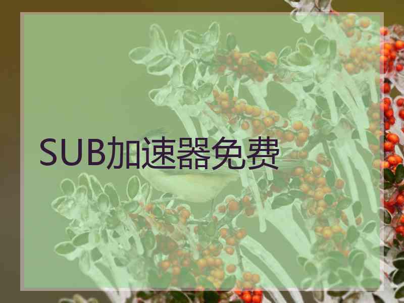 SUB加速器免费