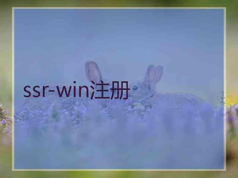 ssr-win注册