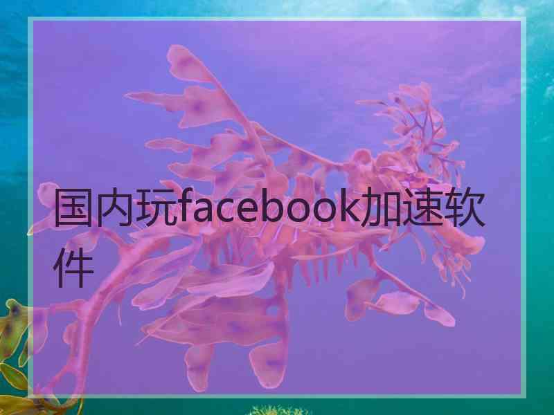 国内玩facebook加速软件