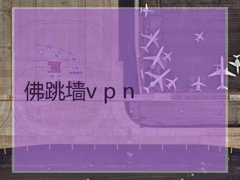 佛跳墙v p n