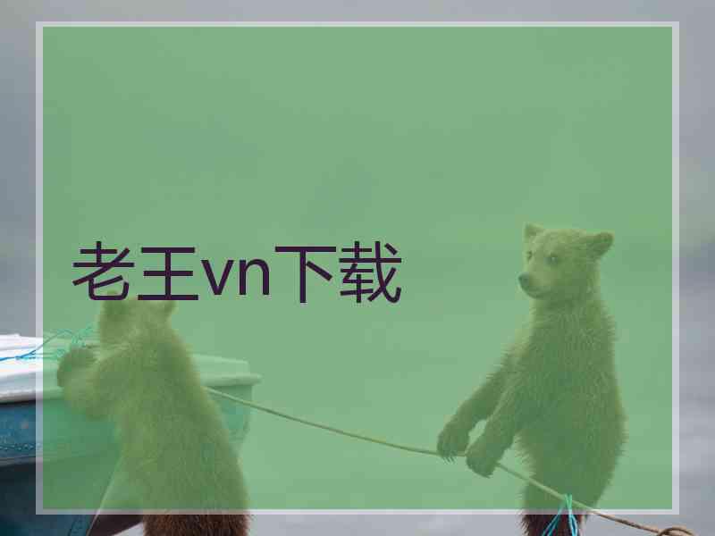 老王vn下载