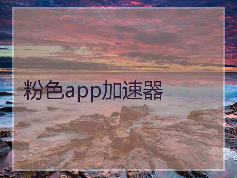 粉色app加速器