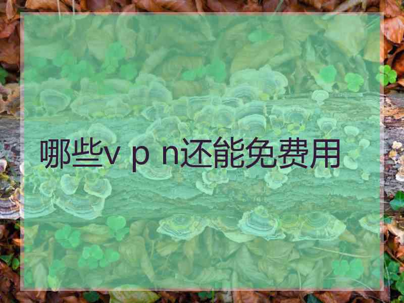 哪些v p n还能免费用